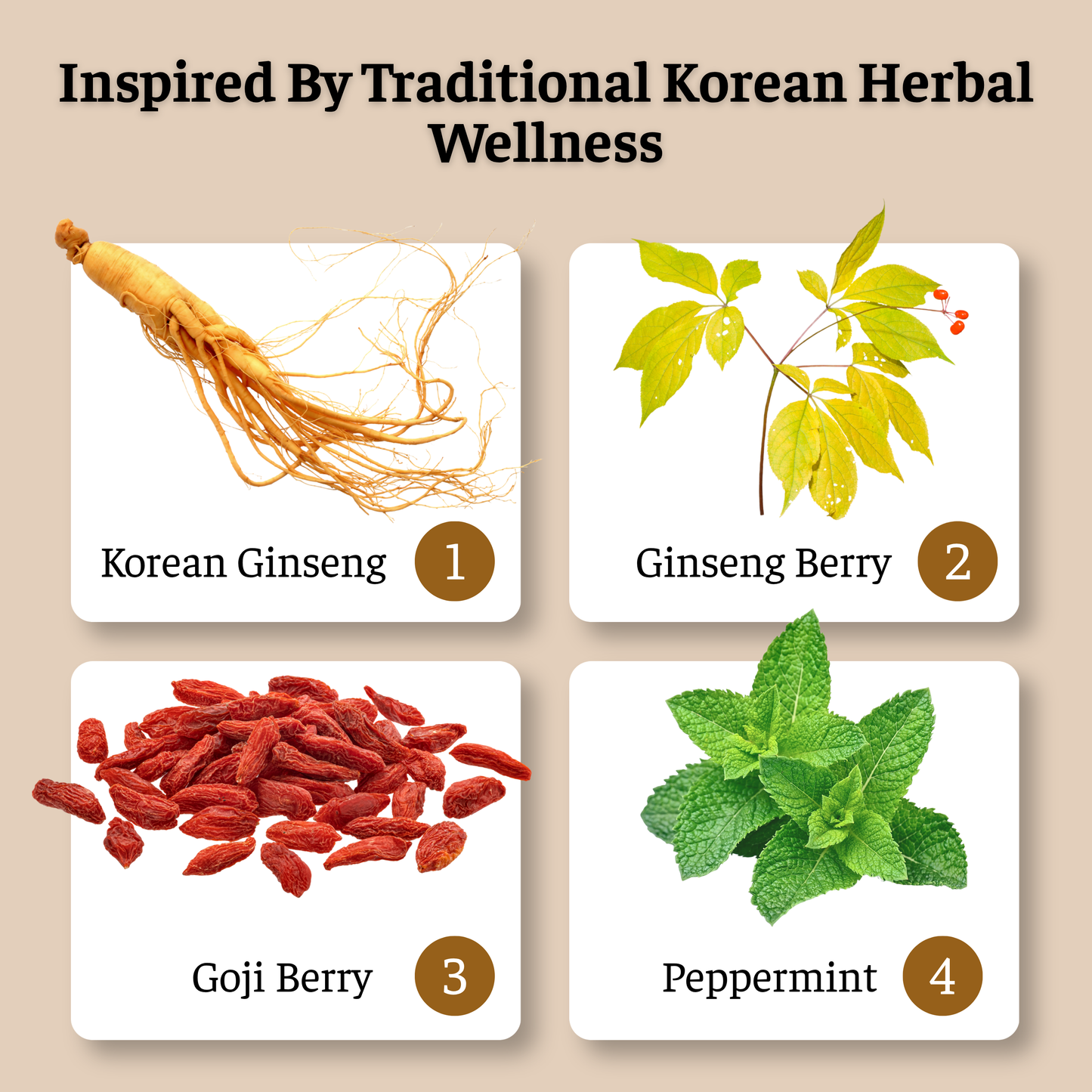 Ginsora™ Korean Ginseng Wellness Drink