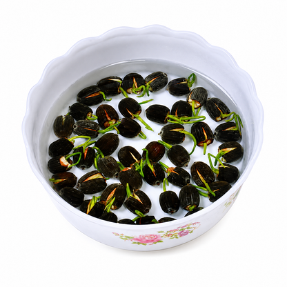 Bowl Lotus Seeds