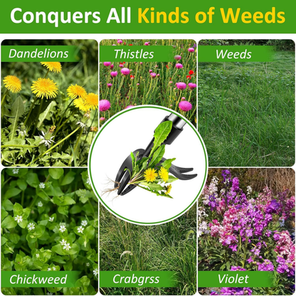 Garden Weed Remover Tool