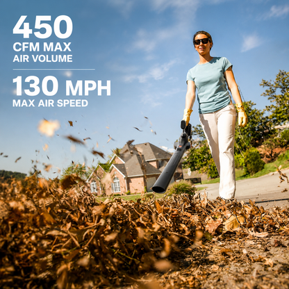 Cordless Leaf Blower