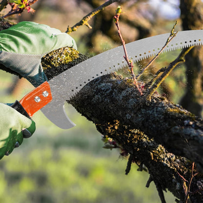 2-in-1 Tree Trimming Pole Saw