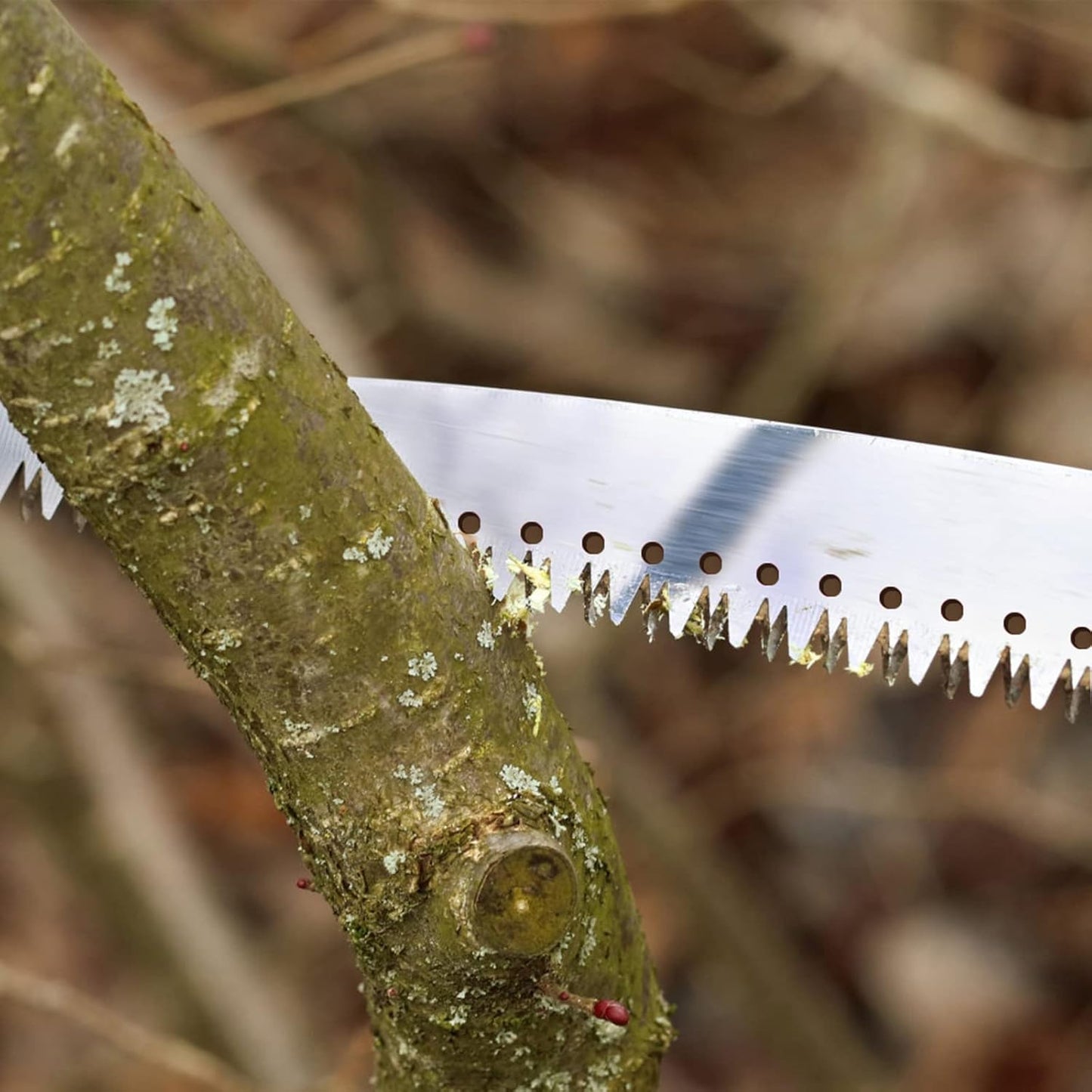 2-in-1 Tree Trimming Pole Saw