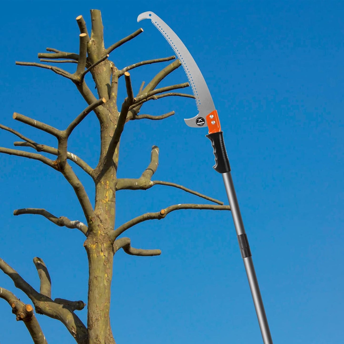2-in-1 Tree Trimming Pole Saw
